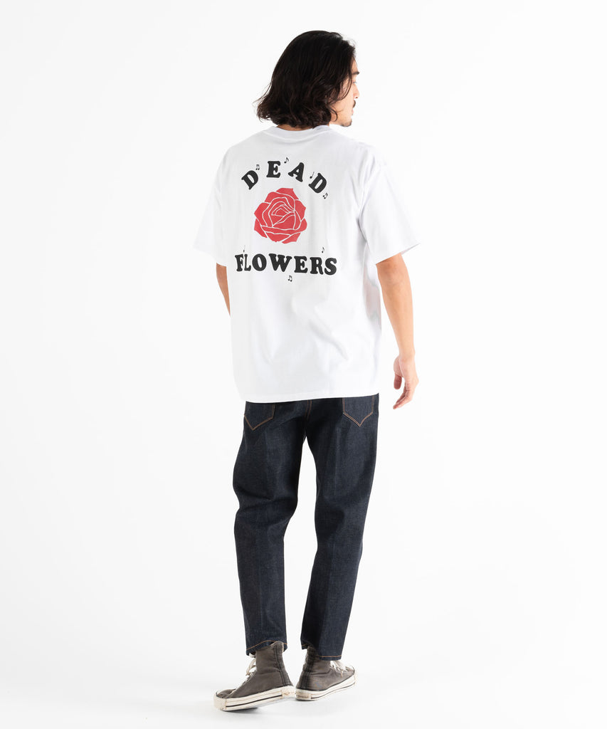 S/S PRINTED TEE "NICHOLSON"